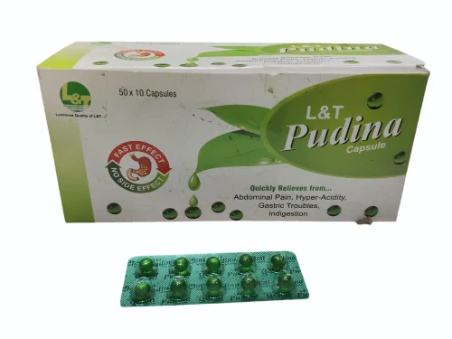 PUDINA CAPSULE PUDINA CAPSULE